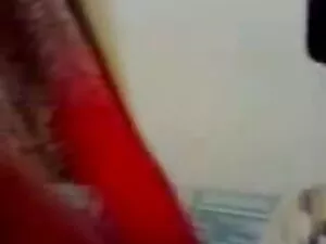 गीला बिल्ली छूत लगता ...