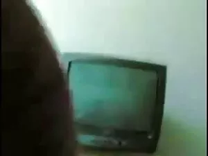 उठा में कुछ बिल्ली स ...