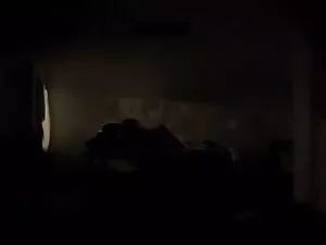 वह बड़ा मुर्गा बेकार ...