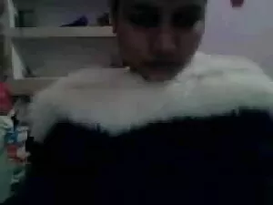 बालों शौकिया बिल्ली  ...