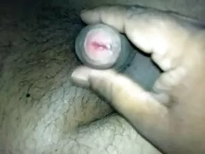 ब्राजील स्टड फुल सेक ...