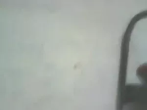 लीसा से पता चलता है  ...