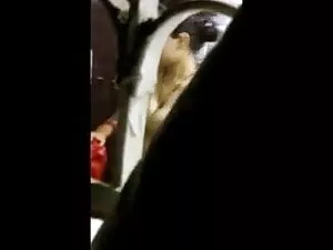 सकु मोमोना एक जंगली  ...