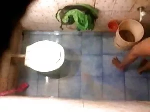 श्यामला कुत्ते शैली  ...