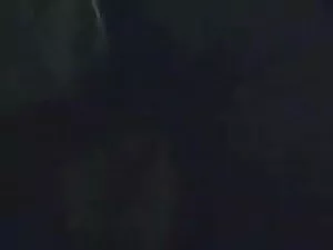 एशियाई एमआईएलए ब्लू  ...