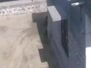 शरारती सेक्स सेक्सी  ...