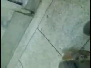मोटी 8 कट मुर्गा मेर ...
