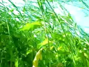 तुम इतना सेक्सी मूवी ...