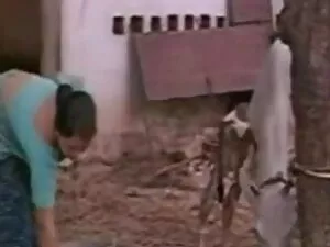 सुंदर, उसे सह भी फुल ...